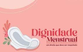 Dignidade Menstrual: cartilha traz informaÃ§Ãµes sobre como ter acesso a absorventes