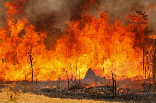 Saiba qual serviÃ§o procurar ao sentir sintomas provocados pela fumaÃ§a dos incÃªndios