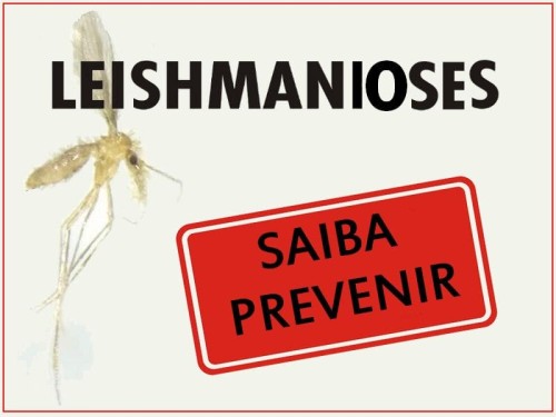 SaÃºde lanÃ§a painÃ©is para monitorar Leishmanioses no Brasil