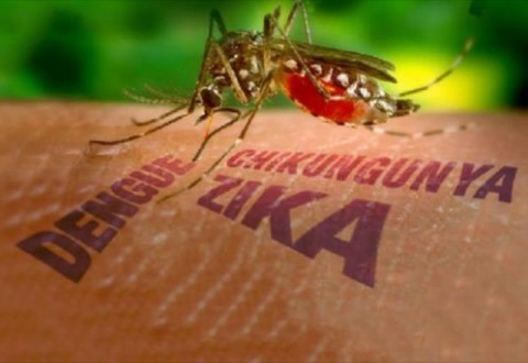 SituaÃ§Ã£o de EmergÃªncia Dengue Chikungunya e Zica
