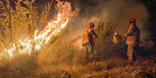 MinistÃ©rio da SaÃºde elabora diretrizes para brigadistas florestais